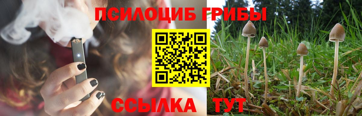 Псилоцибиновые грибы GOLDEN TEACHER Иваново